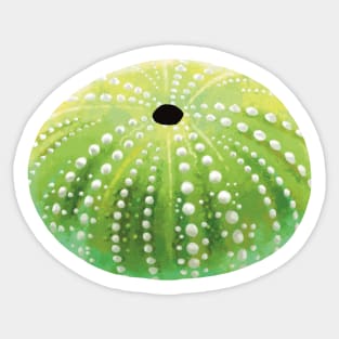 Green Sea Urchin Sticker